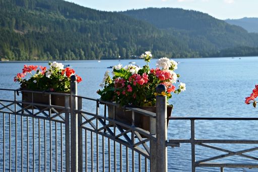 schwarzwald tourist information